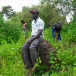 Archaeologists use song to herald findings in Guinea-Bissau dig