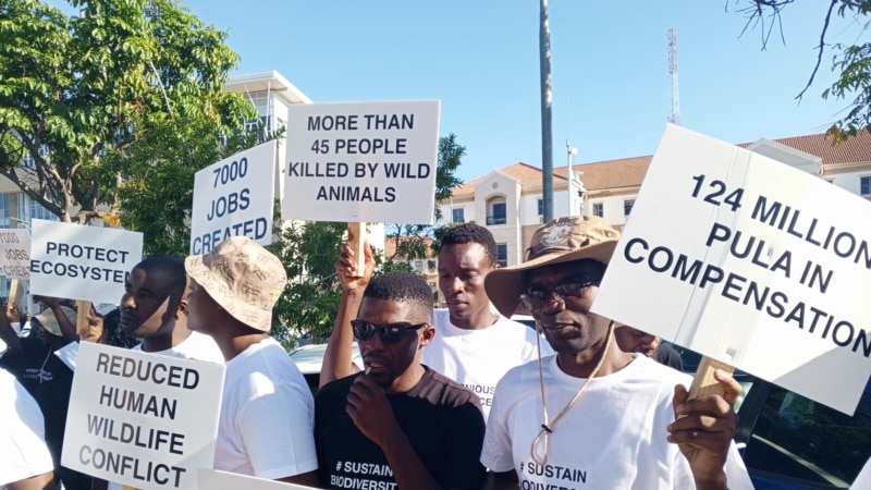 Botswana hunting revenues almost double amid UK opposition