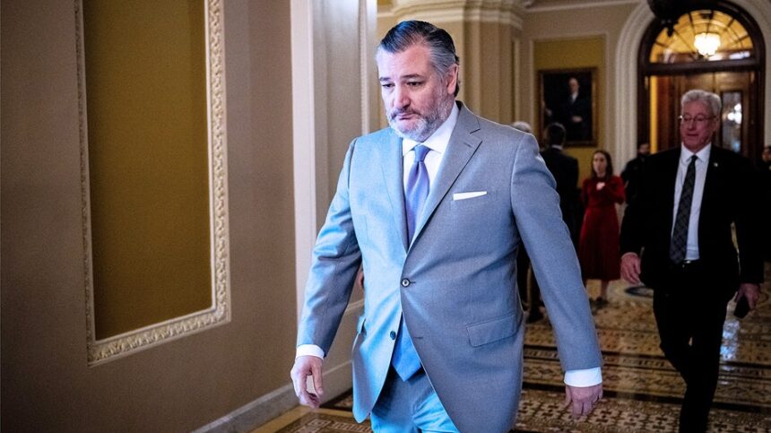 Ted Cruz unleashes on Dems for risking American lives with DHS shutdown: 'Radical open-border base'
