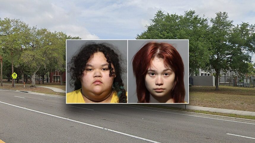 Teens accused of plotting twisted 'blood ritual' school killing giggle in cruiser about glam shot