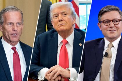 GOP leaders endorse Trump's shutdown-proof move to end DHS funding lapse