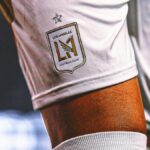 LAFC, Owners Of Swiss Soccer Club, Offer To Sell After Fans' Forceful Protest