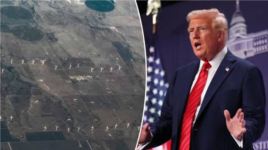 NEWT GINGRICH: What Trump can teach us about energy and Americas future