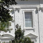 White House gets an unexpected buzz as thousands of bees swarm the executive mansion's North Lawn