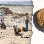 Archaeologists uncover freeze-dried potatoes older than the US in 'excellent' condition