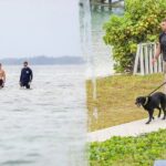 Why investigators are searching both land and sea for missing Michigan woman in Bahamas