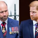 Prince William 'no longer recognizes' Prince Harry as security battle leaves duke 'close to tears': expert