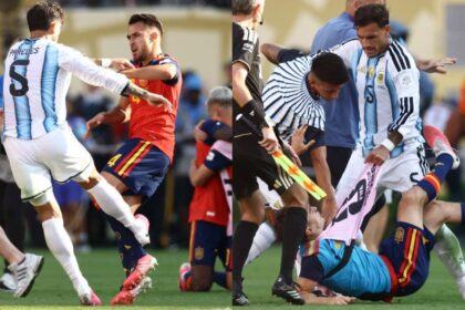 Zlatan Critiques Spain's Failure To Defend Teammates After Post-Final Brawl