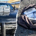 Routine California traffic stop leads to seizure of 30 pounds of cocaine worth more than $800K