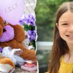 Teen accused of killing 10-year-old cousin Lily Peters may avoid November trial after new hearing scheduled