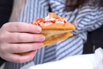 Lobster roll war erupts in New England over controversial ingredient in 'die-hard' divide