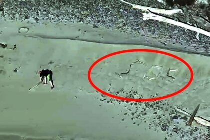 Tourists seeking 'dramatic' photo on isolated beach trapped by incoming tide