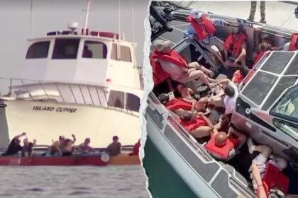 Federal agents intercept boat carrying 14 illegal aliens before unloading in wealthy coastal enclave