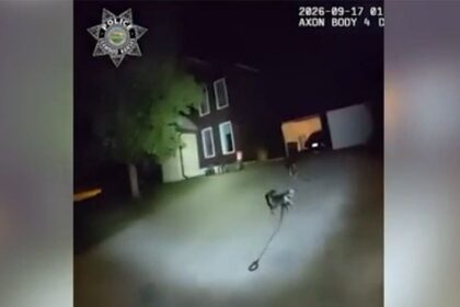 Loyal dog fetches police to help owner who fell at Kansas home