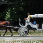 Mamdani, City Council move to end iconic NYC horse-drawn carriage industry as workers face uncertain future